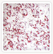 Figure C.